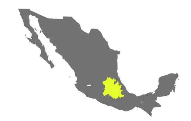 Cobertura de INCOTEM en México — Estado de México y zona centro